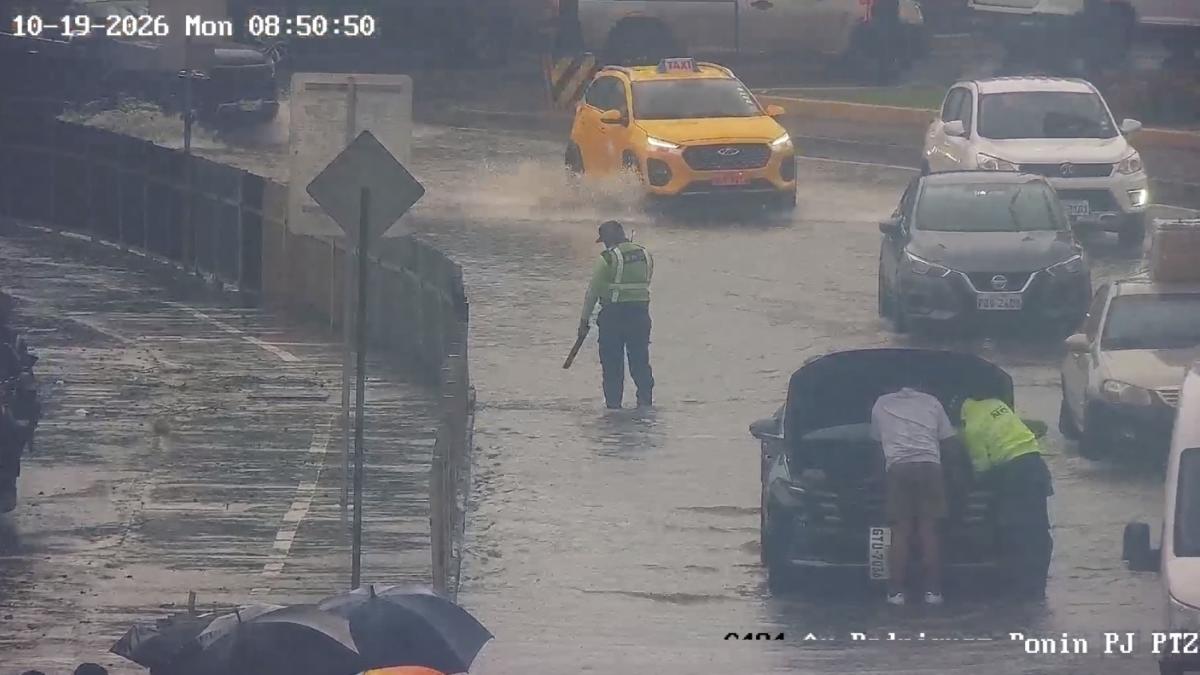 ¿Perdió su placa vehicular en las inundaciones de Guayaquil? Este es el trámite en la ATM para conseguir una nueva