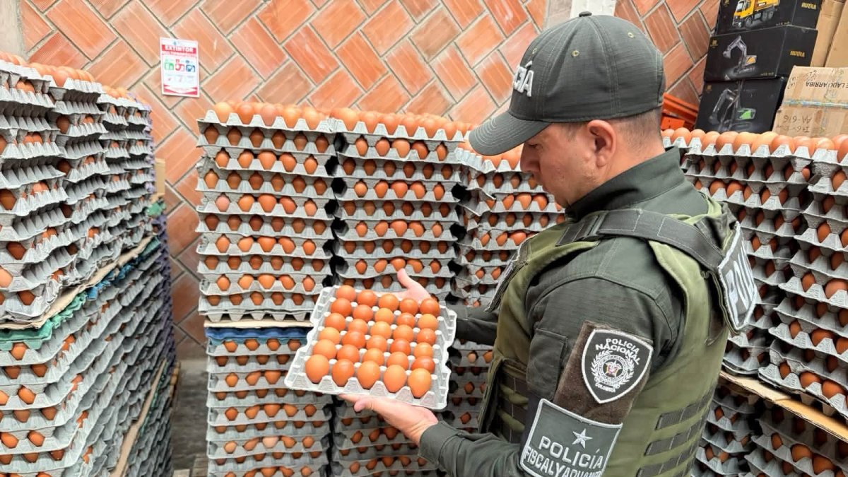 Incautan más de 149.000 huevos ecuatorianos en la frontera con Colombia