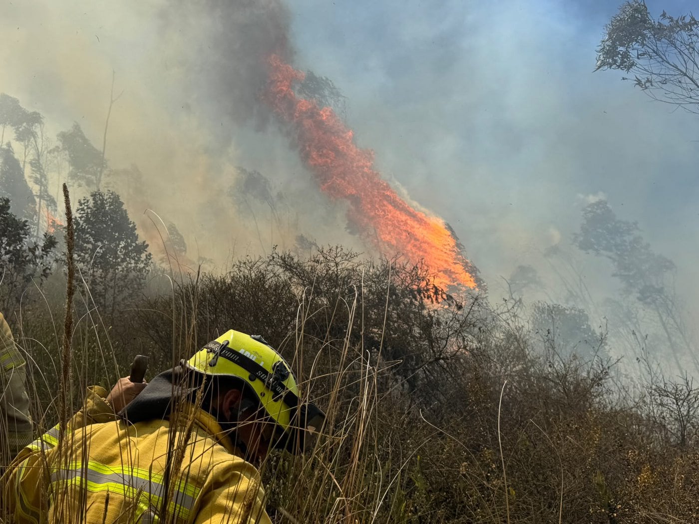 Seis incendios forestales se mantienen activos en tres provincias de la Sierra ecuatoriana