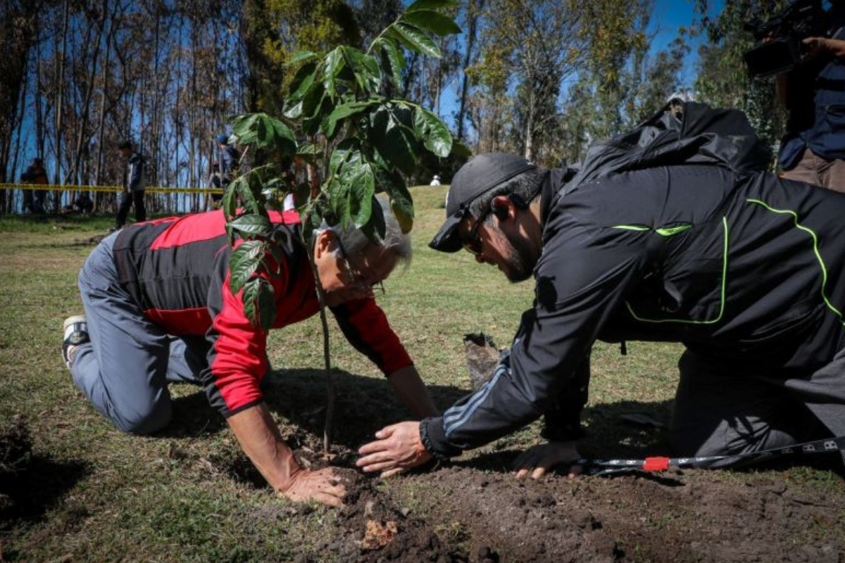Quito reforestará 21 zonas afectadas por los incendios forestales